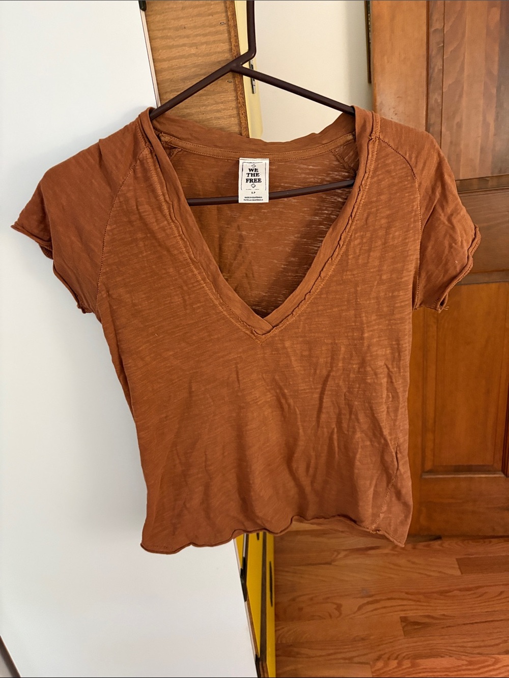 Free People Rust Short Sleeve V-Neck Tee